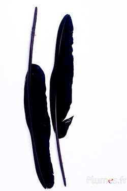 Schwan - 33-38 cm - schwarz